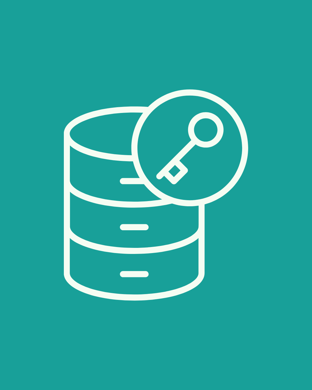 Carga y Validación de Datos